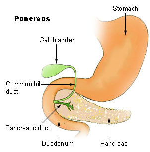 Show Penis Pictures