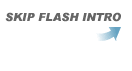 Skip Flash Intro